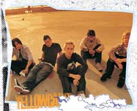 Florida's 'Yellowcard'